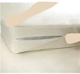 DS USA Comfort Rest Queen Mattress Set with Cover Protector