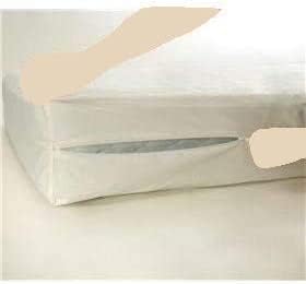 DS Solutions USA Chiro Two-Sided Queen Mattress with Protector