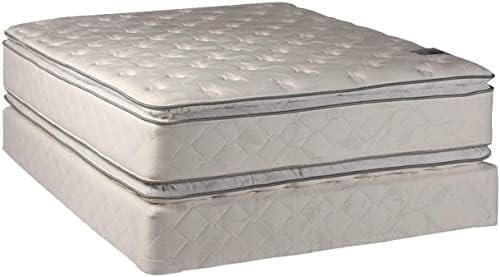 DS Solutions USA Natural Sleep Twin Mattress Set with Protector