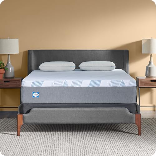 Sealy Dreamlife 12 Inch Foam Mattress in a Box Twin XL