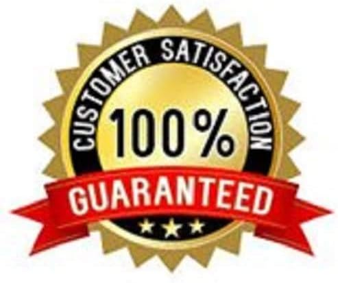 DS USA Comfort Rest Queen Mattress Set with Cover Protector