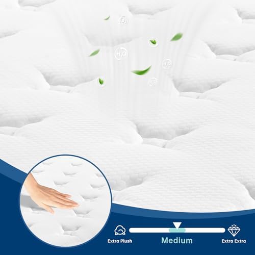 OOTDAY 10 Inch Medium Firm Full Mattress in a Box