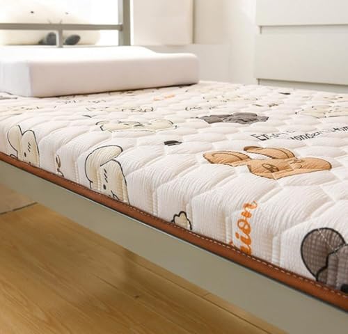 Foldable Roll Up Mattress for Dormitory Camping and Lounger Bed