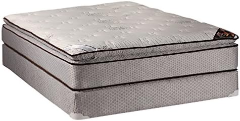 Dream Solutions USA Spinal Plush Queen Mattress Set with Metal Frame