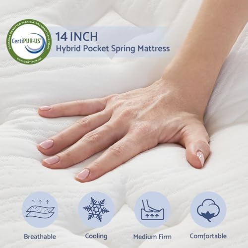 Bednew 14 Inch Queen Mattress in a Box Hybrid