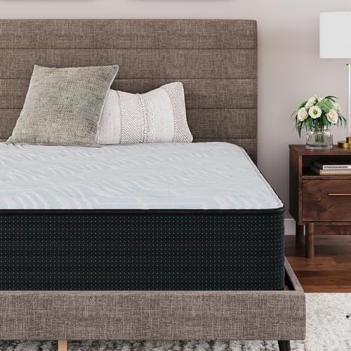 Signature Design by Ashley Queen Size 14 Inch Plush Hybrid Mattress