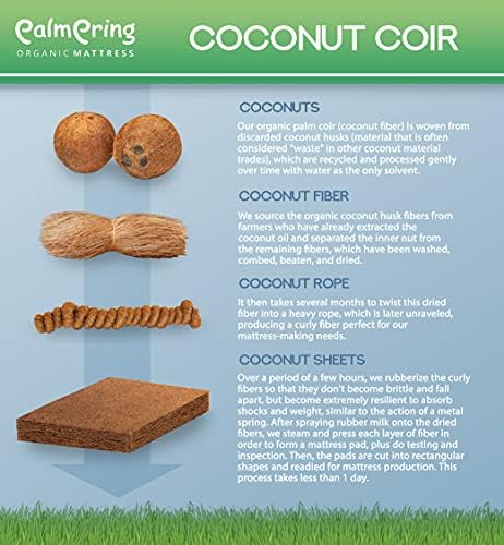Kochi Twin Mattress Organic Latex Coconut Coir 6 inch Medium Firm