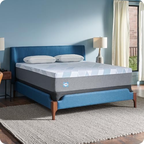 Sealy Dreamlife 12 Inch Foam Mattress in a Box Twin XL