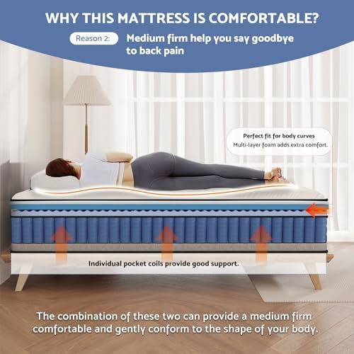 Bednew 14 Inch Hybrid Pillow Top King Mattress