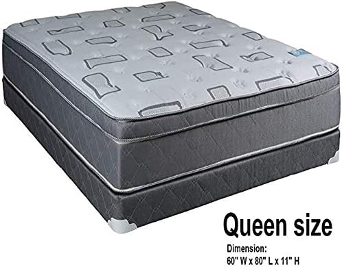 DS USA Natural Trophy Queen Mattress Set with Protector