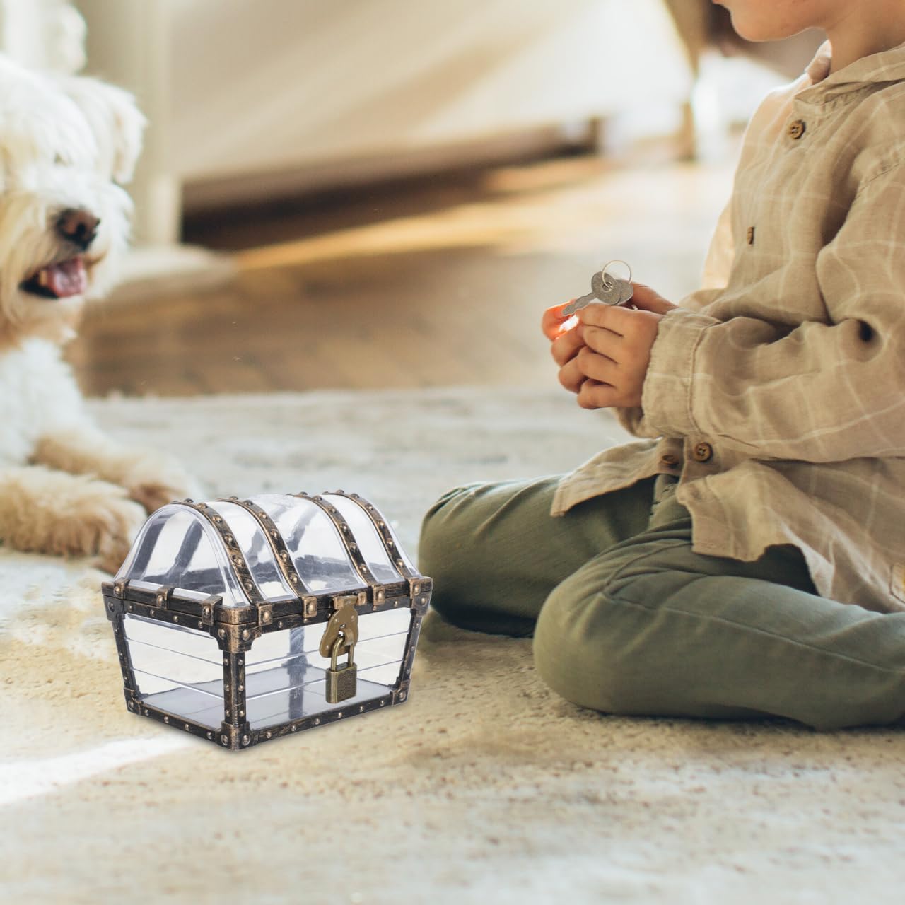 Pirate Treasure Chest Toy Box with Lock and Key for Kids