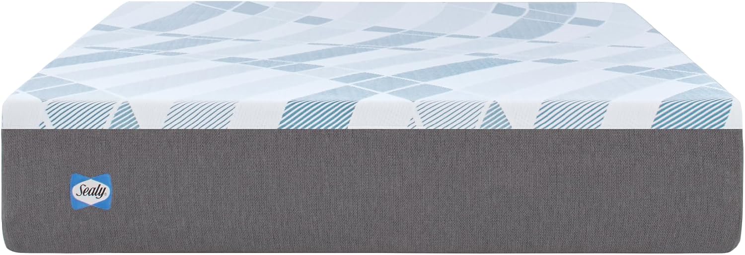 Sealy Dreamlife 12 Inch Foam Mattress in a Box Twin XL