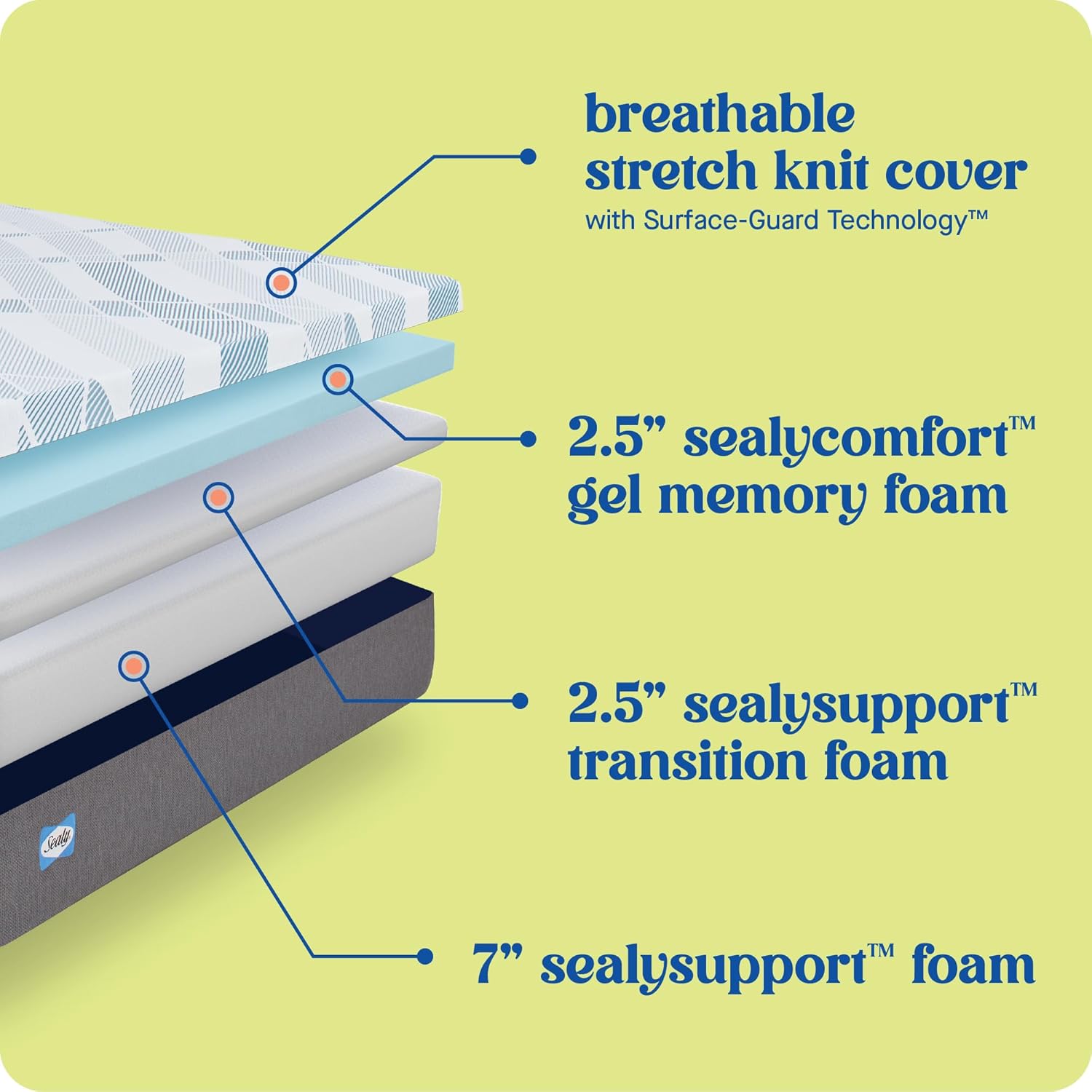 Sealy Dreamlife 12 Inch Foam Mattress in a Box Twin XL