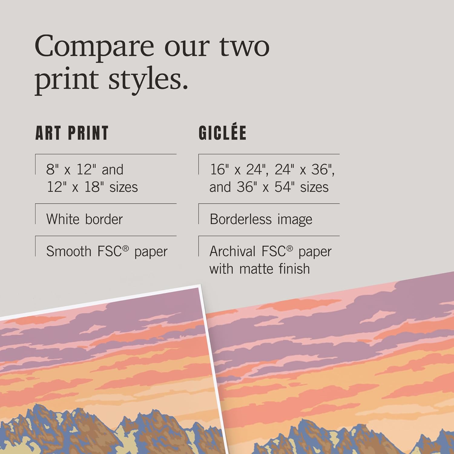 Lantern Press 12x18 Inch Art Print Big Sky Montana Spring Flowers