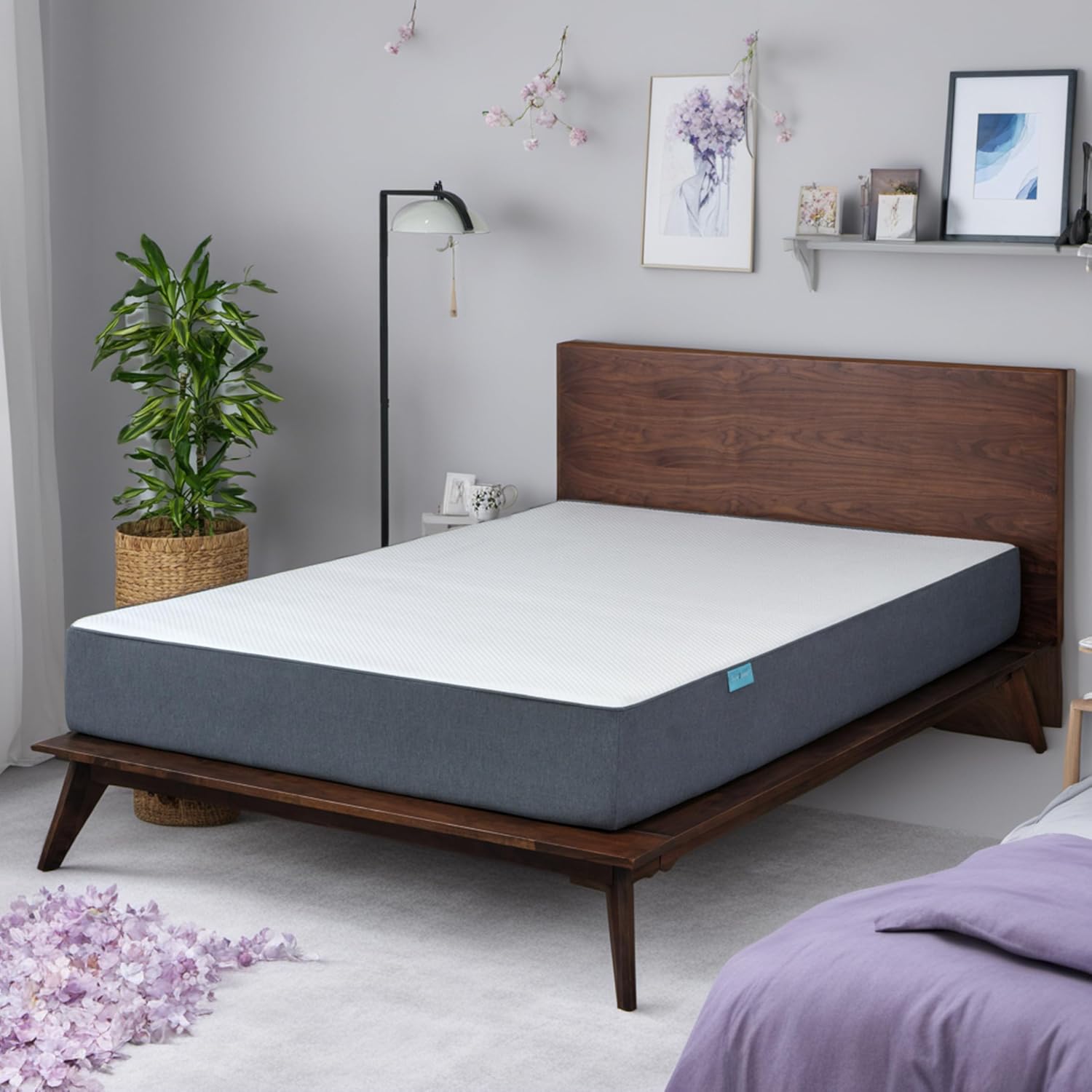 Sure2Sleep Monterey Queen Size 10-inch Med Firm Mattress
